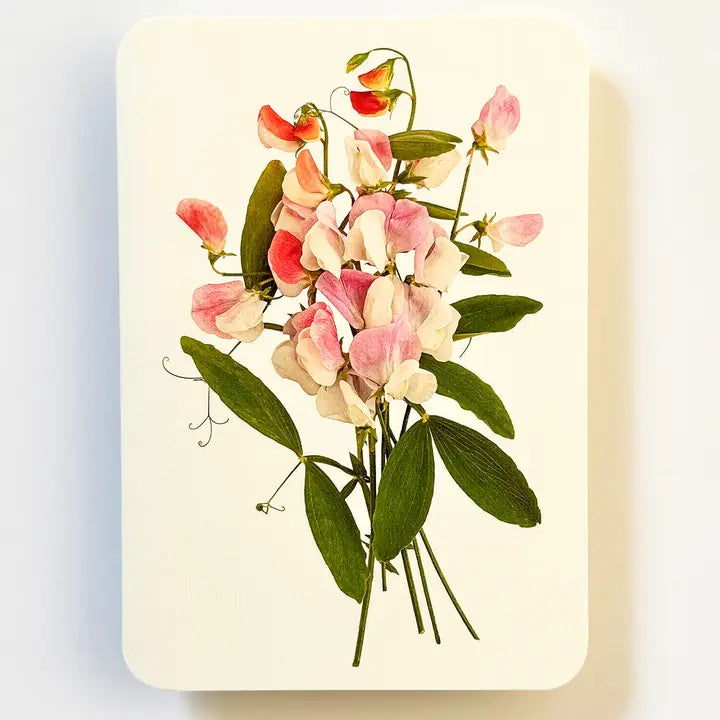 CANONBURY PRESS Pink Sweet Peas Greeting Card