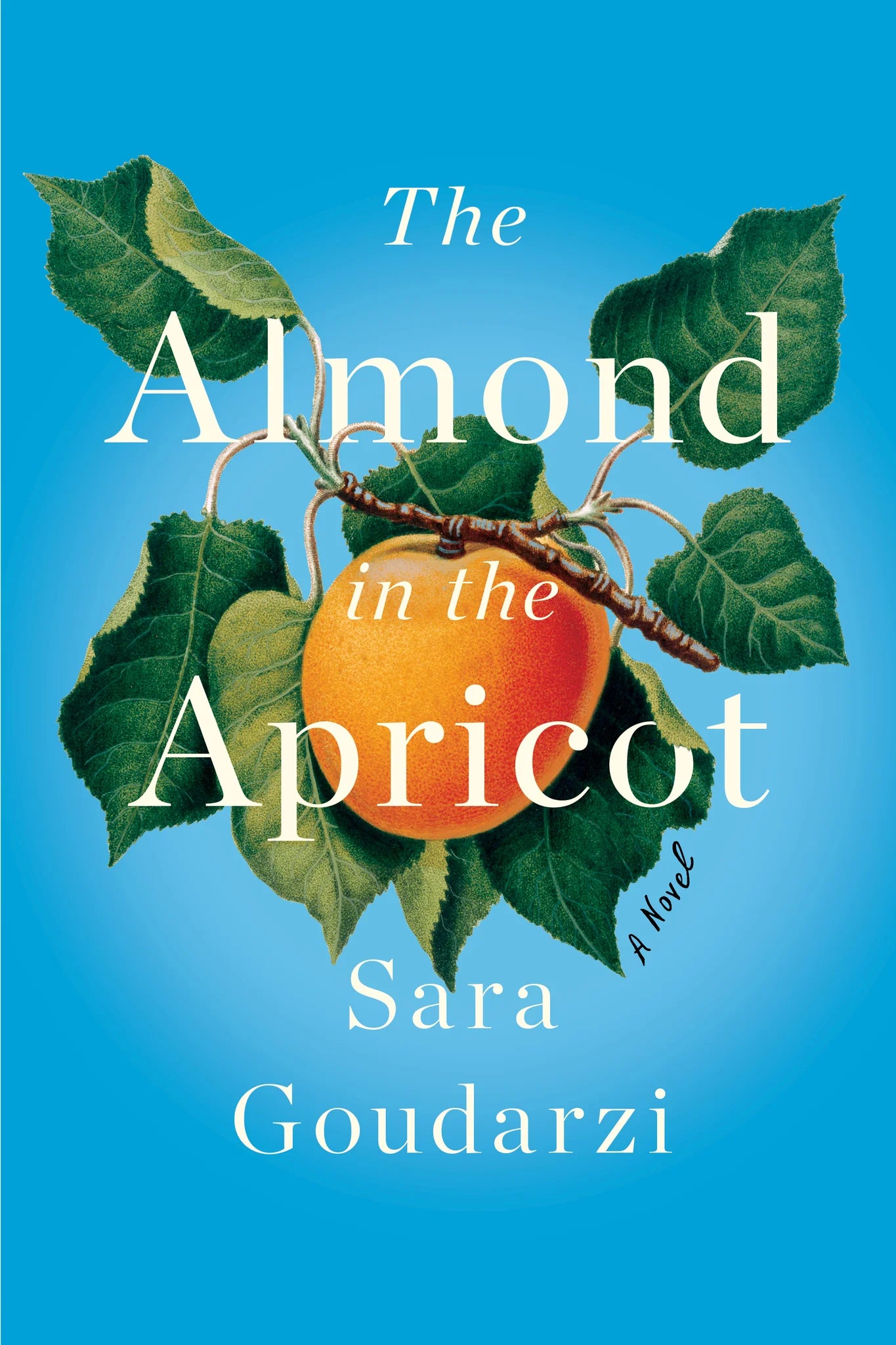 DEEP VELLUM BOOKS The Almond in the Apricot