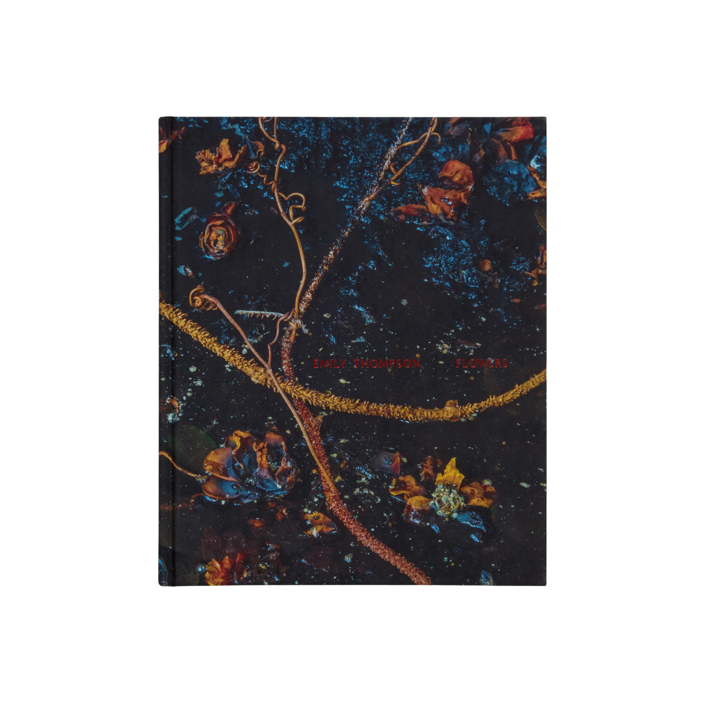 PHAIDON Emily Thompson Flowers