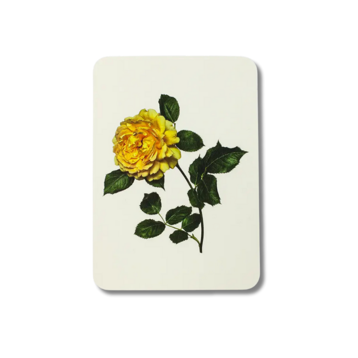 CANONBURY PRESS Yellow Rose Greeting Card