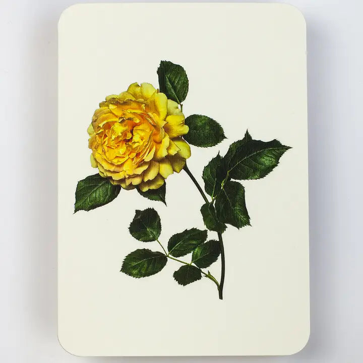 CANONBURY PRESS Yellow Rose Greeting Card