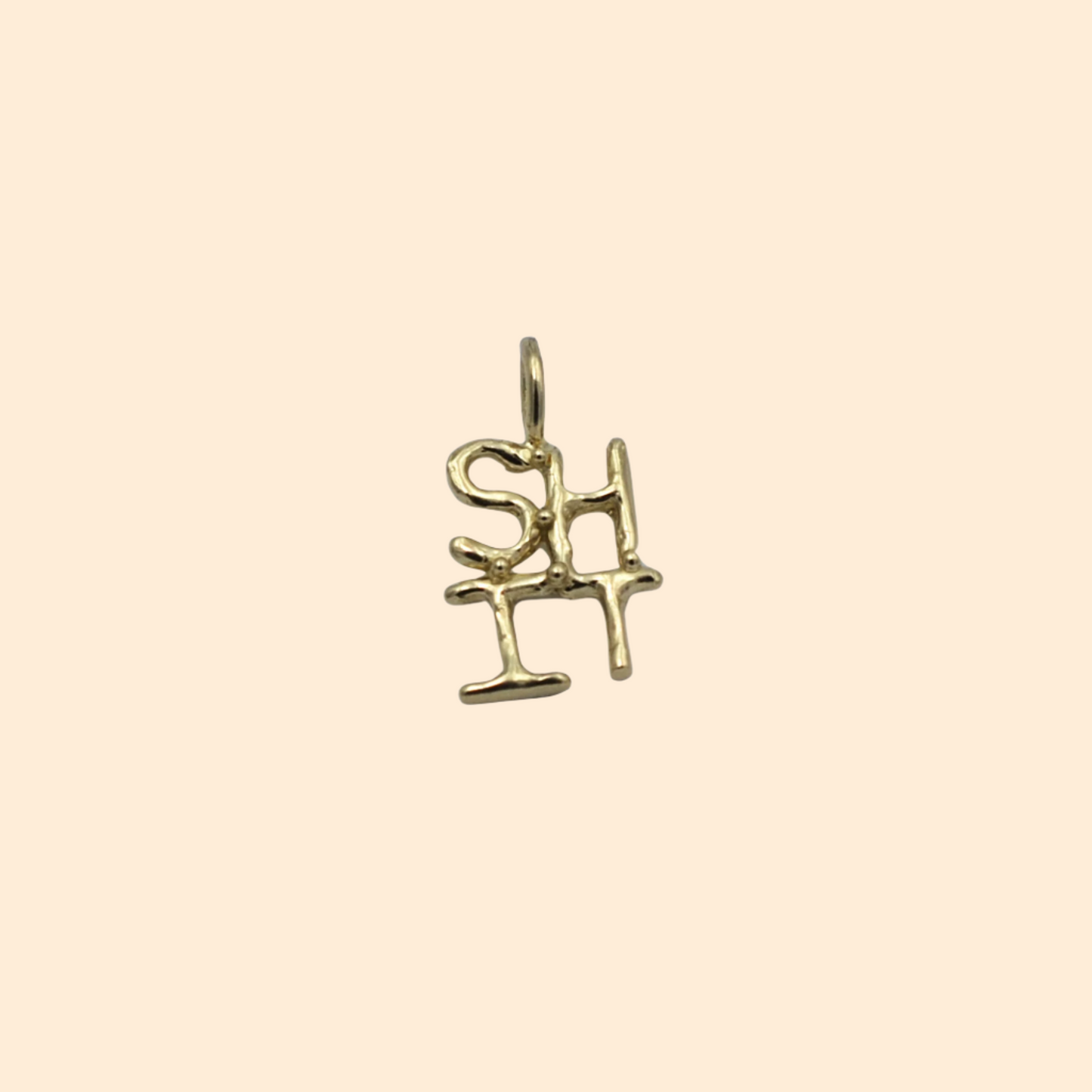 LINDSEY ALLEN Shit Charm