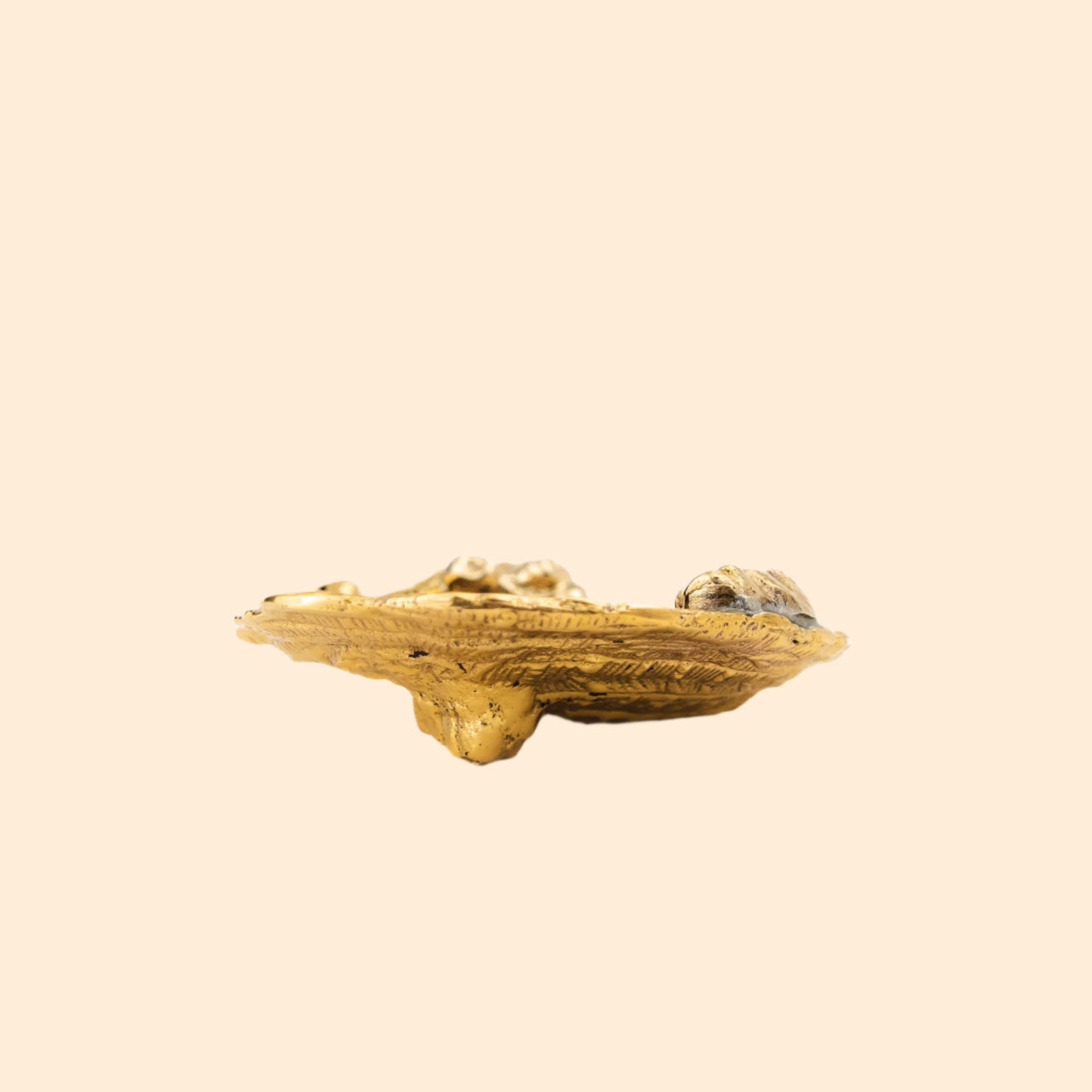 SHELTON METAL Barnacle Salt Dish