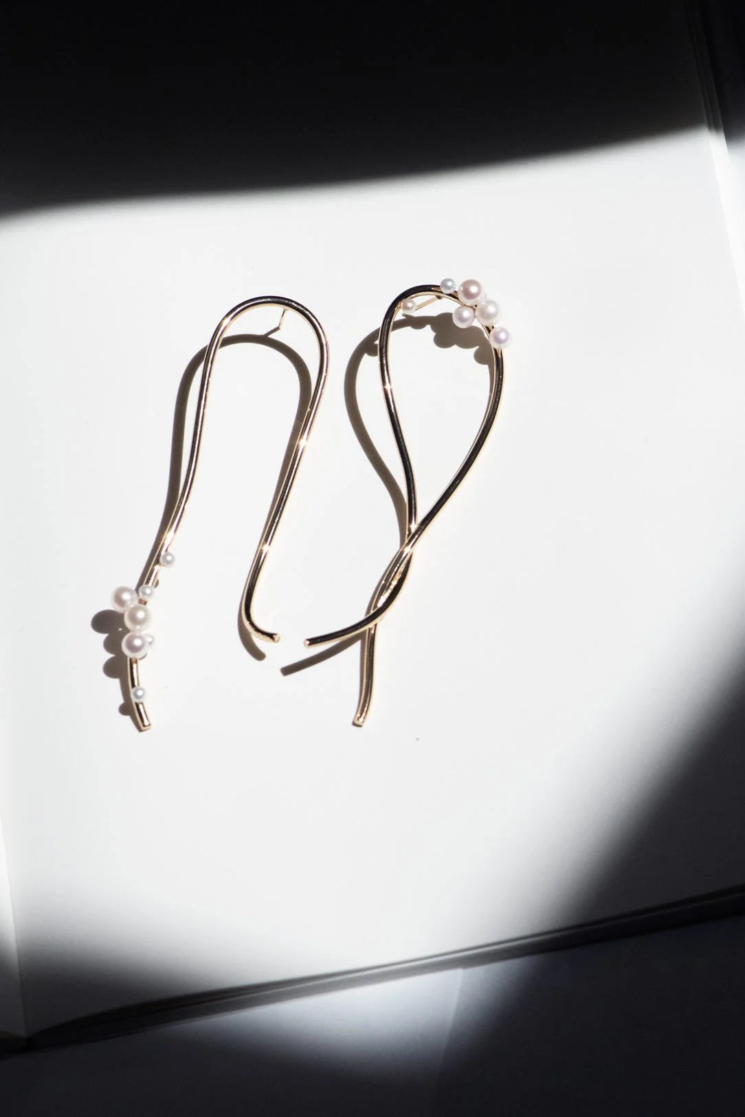 COMPLETEDWORKS Wild Relatives Earrings