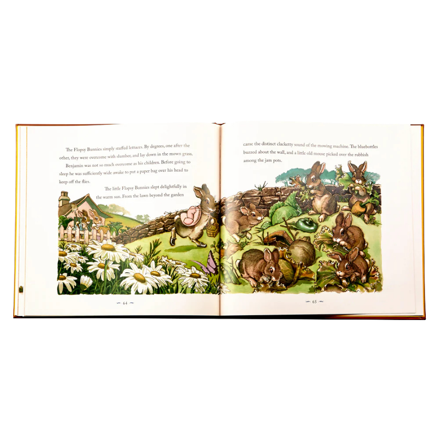 GRAPHIC IMAGE Peter Rabbit