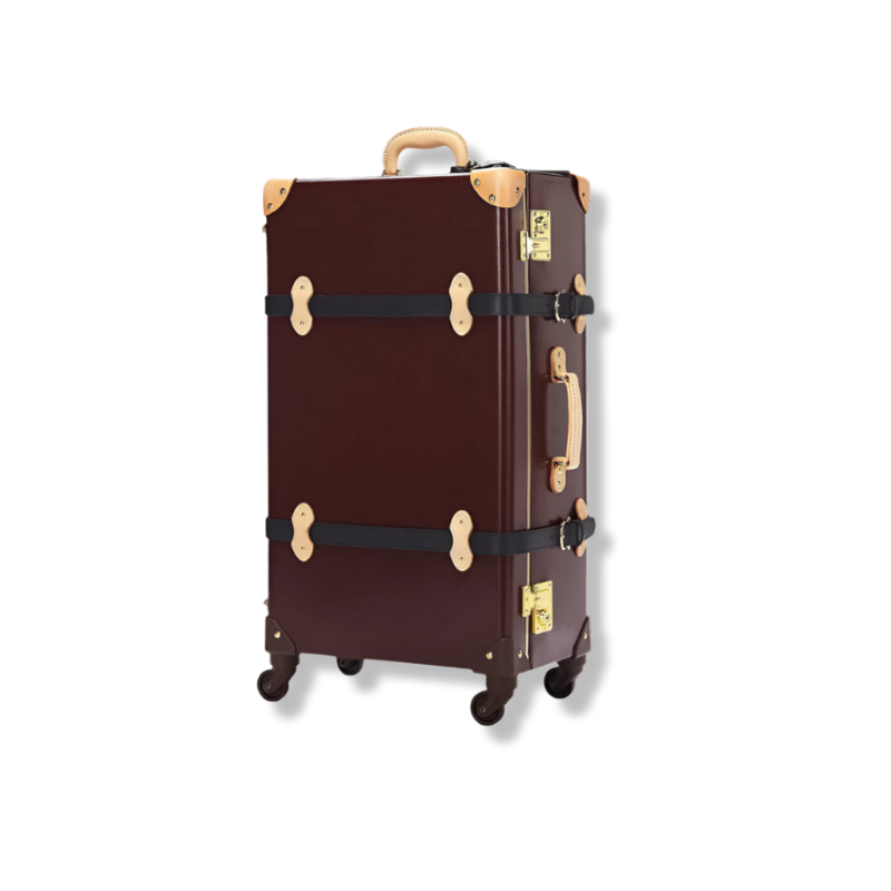 STEAMLINE The Architect Check-in Spinner