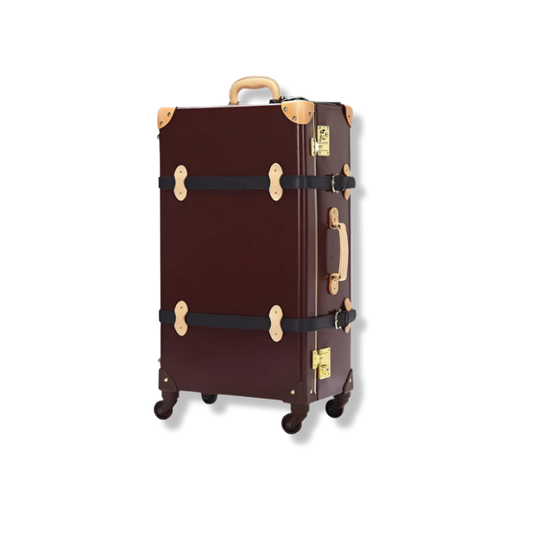 STEAMLINE The Architect Check-in Spinner