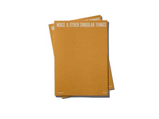 BENJI PECK Noise & Other Singular Things