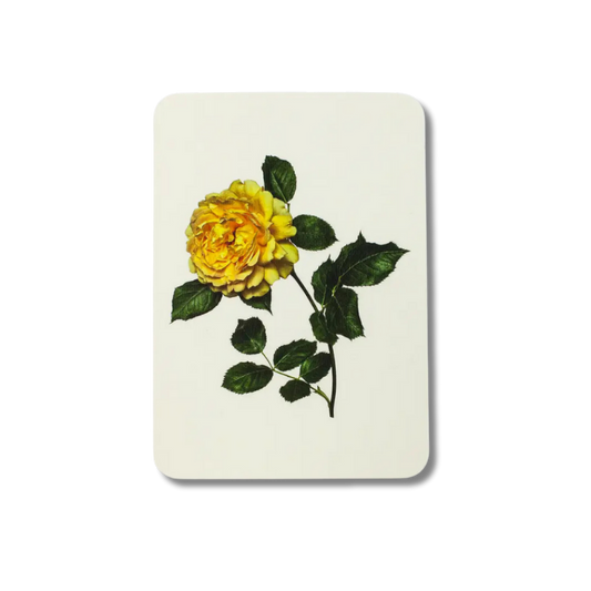CANONBURY PRESS Yellow Rose Greeting Card