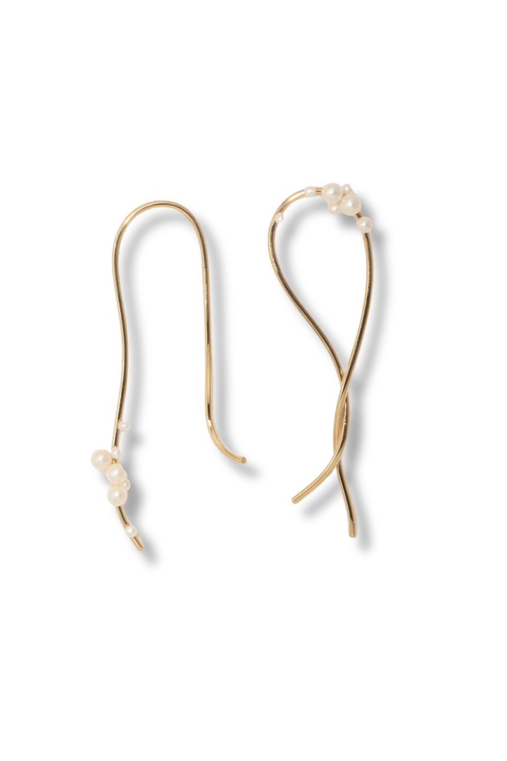 COMPLETEDWORKS Wild Relatives Earrings